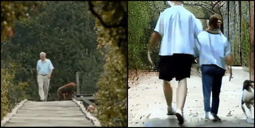 Mind-Video example 1