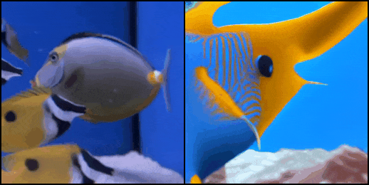 Mind-Video example 2