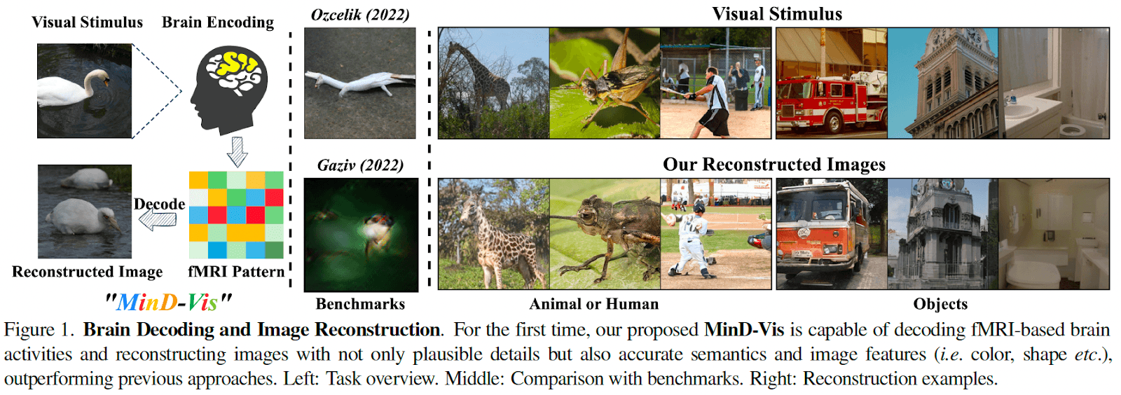 Mind-Vis Results