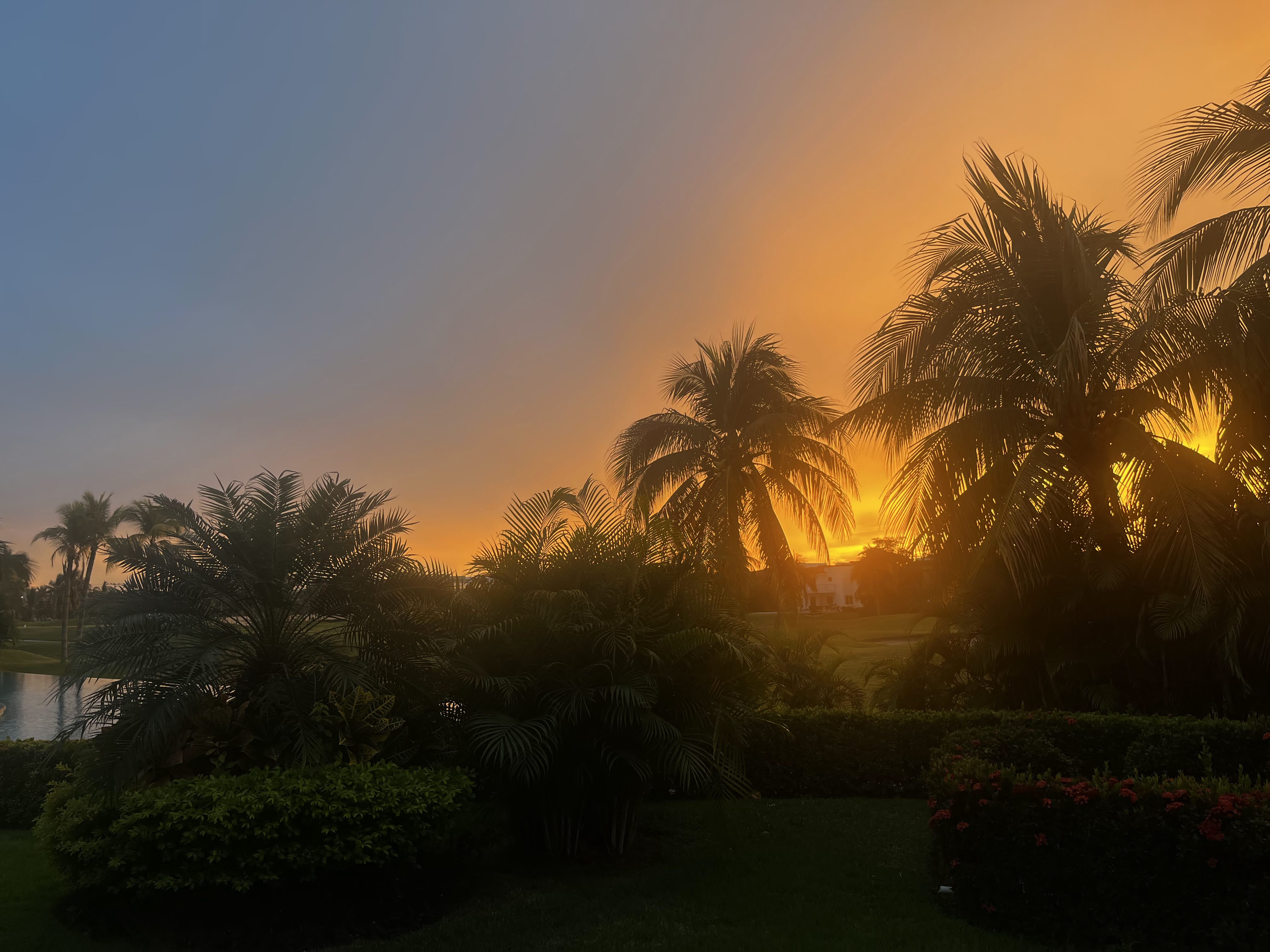 The sunset in Puerto Vallarta