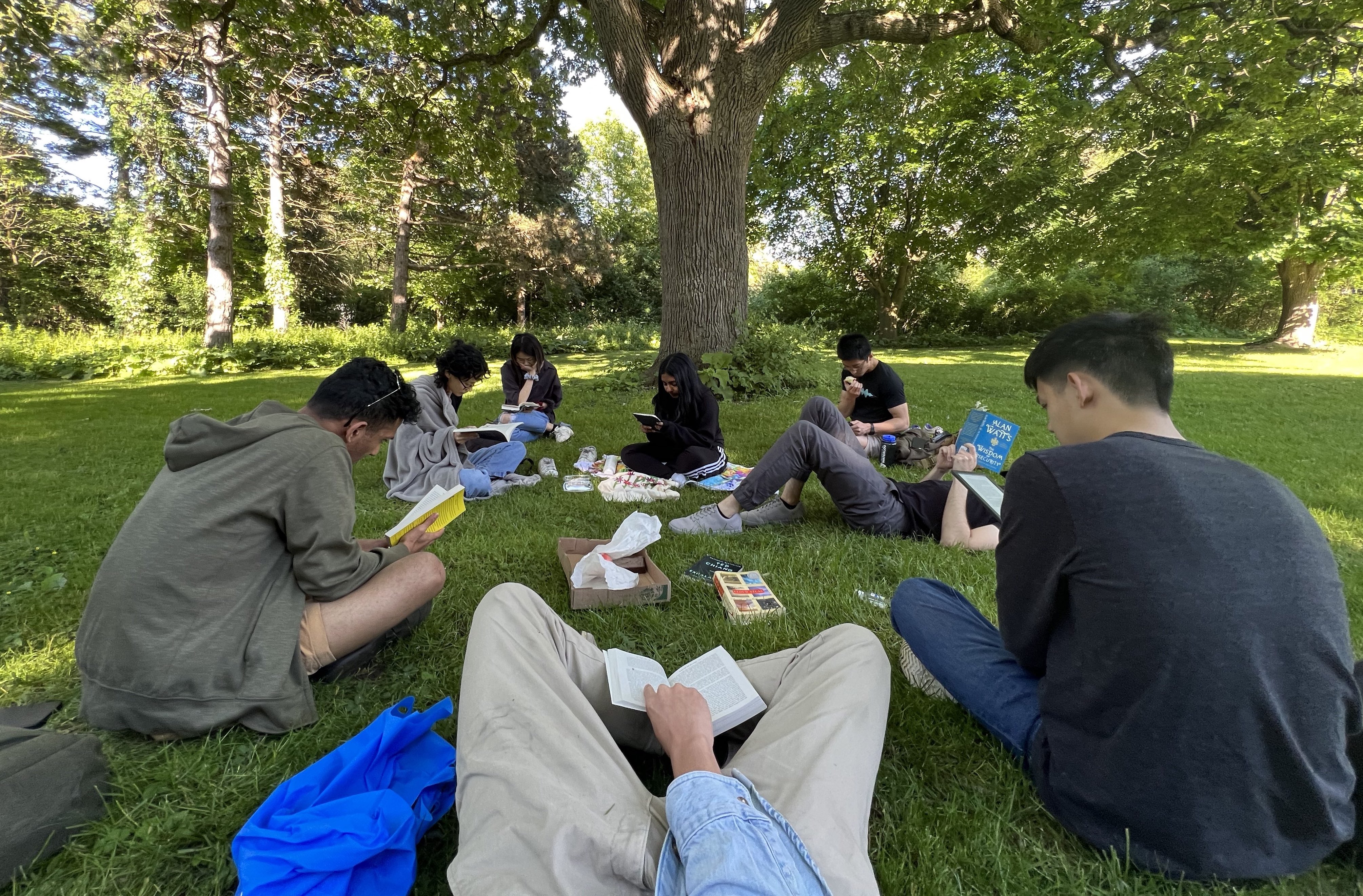 A group of people reading under a tree
